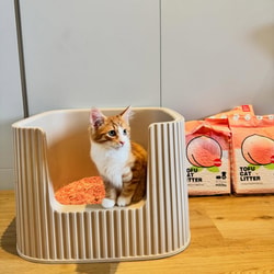 MichuPet