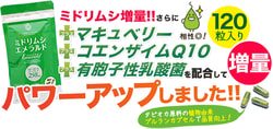 Midorimushi Senka
