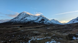 Montane
