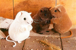 Stuffed Ark