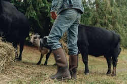 Muck Boot Company