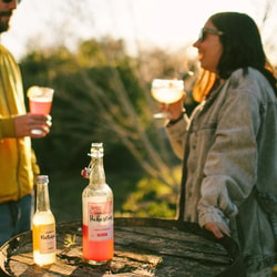 Mun kombucha