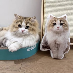 Myminipets