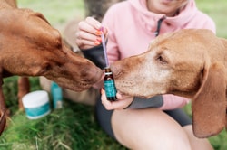 Naturecan
