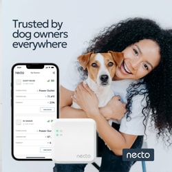 Necto