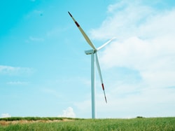Net Energy