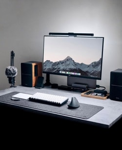 Newegg