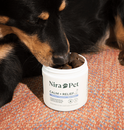 Nira Pet
