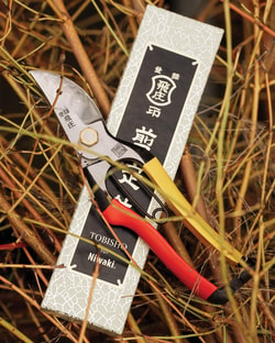 Niwaki