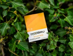 Noobru