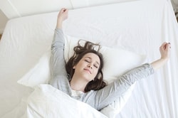 Novosbed