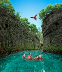 Oasis Hotels