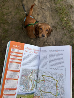 Ordnance Survey