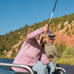 Orvis