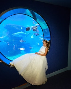 Palma Aquarium