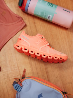 Paragon Sports