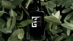 Parfumdreams