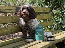 Pawtable