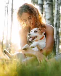 Perfect Pet