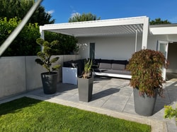 PERGOLUX