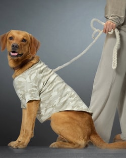 Pet Passion