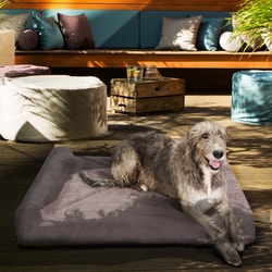 Pet Support Systems