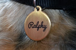 Pet Tags