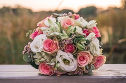 Petals Network