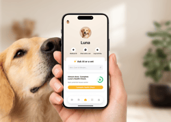 Petcube