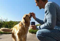 PetLab Co.
