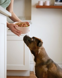 PetPlate