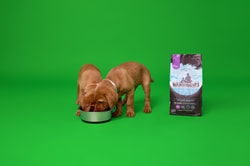 Pets at Home