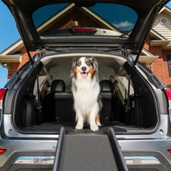 PetSafe
