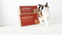 PetSmart