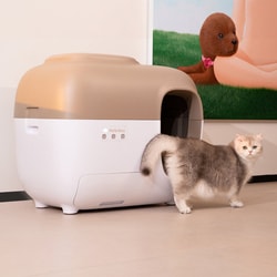 Petsnowy
