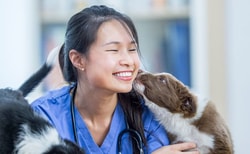 Petstock