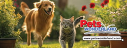 Petswonderland
