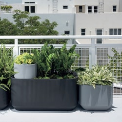 Plant Addicts