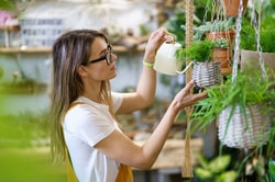 Plants For All Seasons