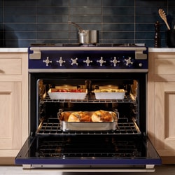 Plesser's Appliance
