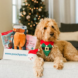 Pooch Perks