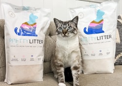 PrettyLitter