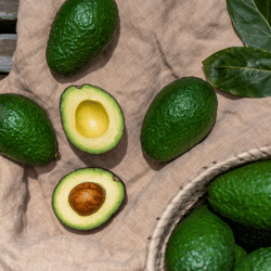 Primavera Avocados