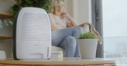 Pro Breeze