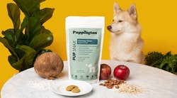 Puppington