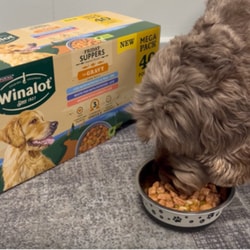 Purina