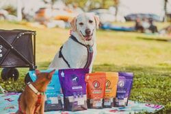 Purpose Pet Food