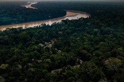 Rainforest Expeditions