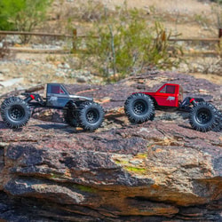 RedCat Racing