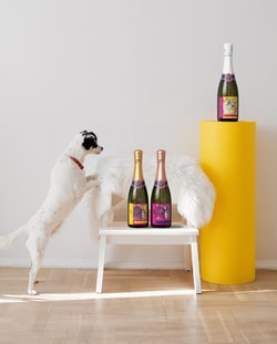 Rescue Dog Wines